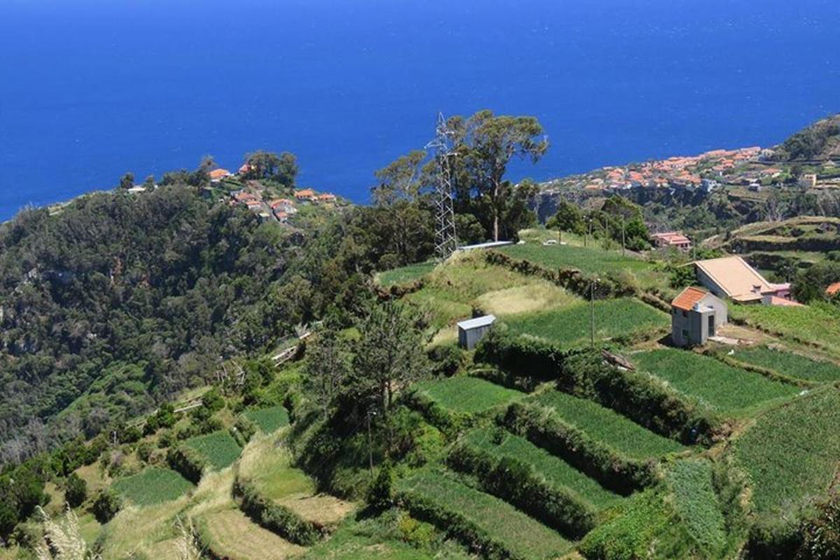 a hill covered in green bushes and trees