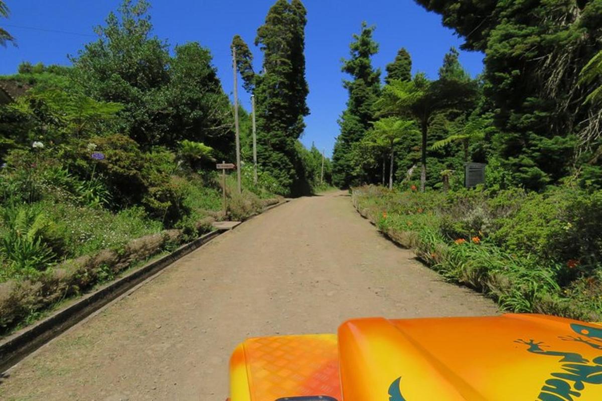 a dirt road with trees on the side of it