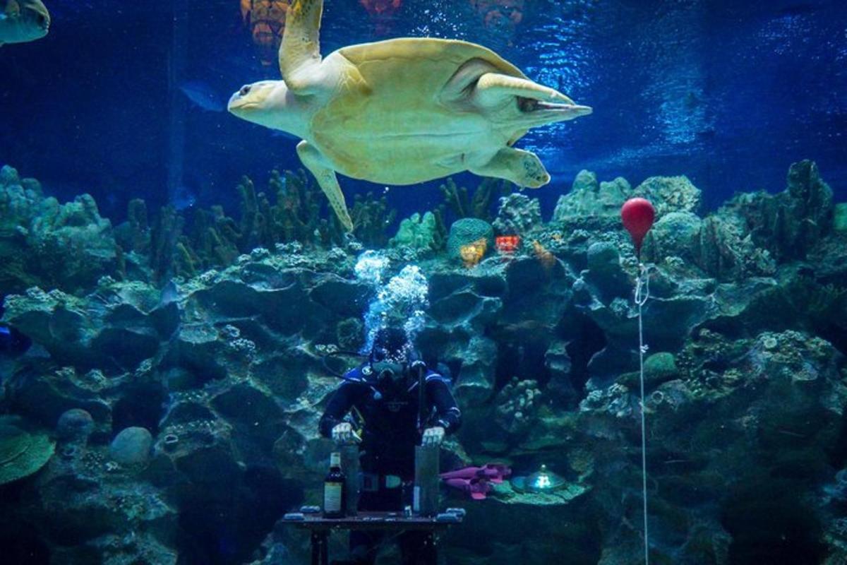 Photo de l’attraction numéro 3.