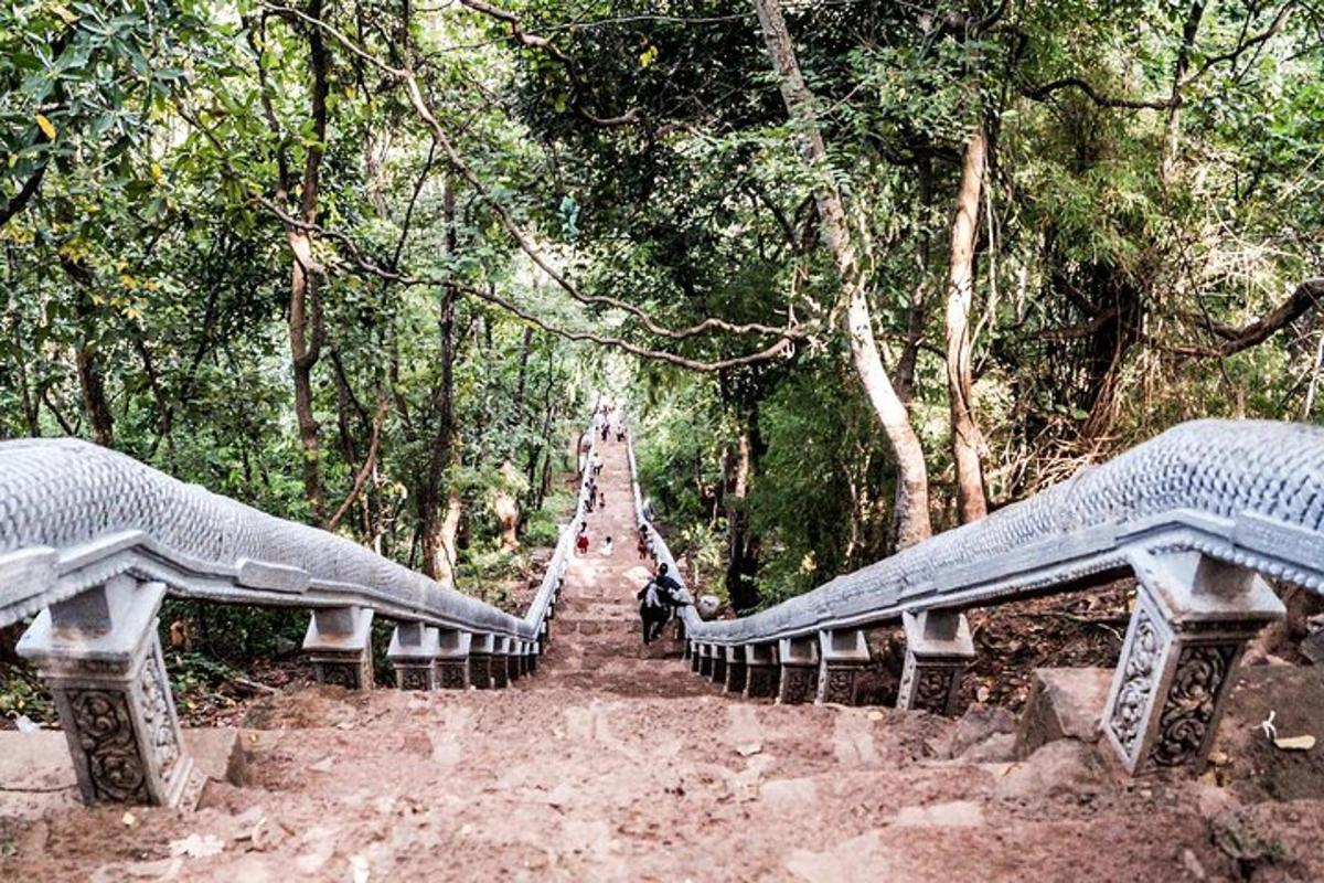 uma ponte no meio de uma floresta com árvores