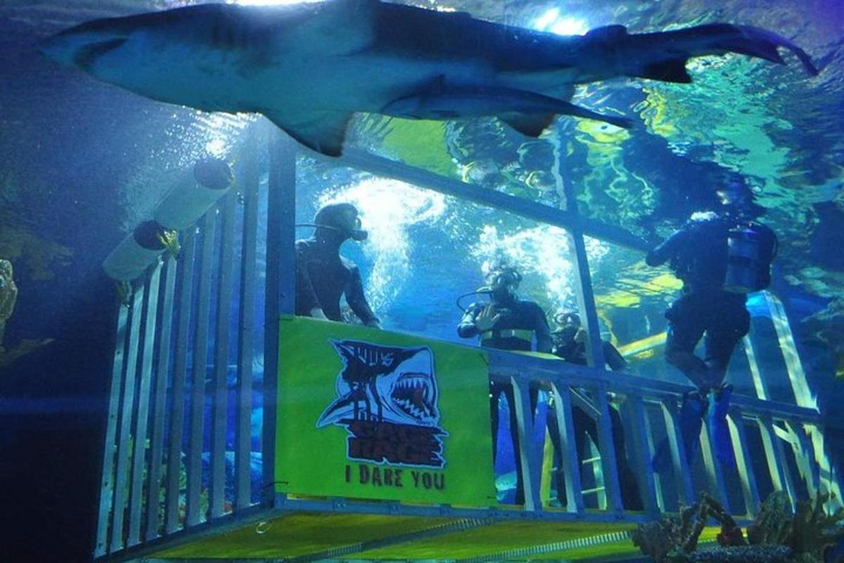 Attraction picture 6