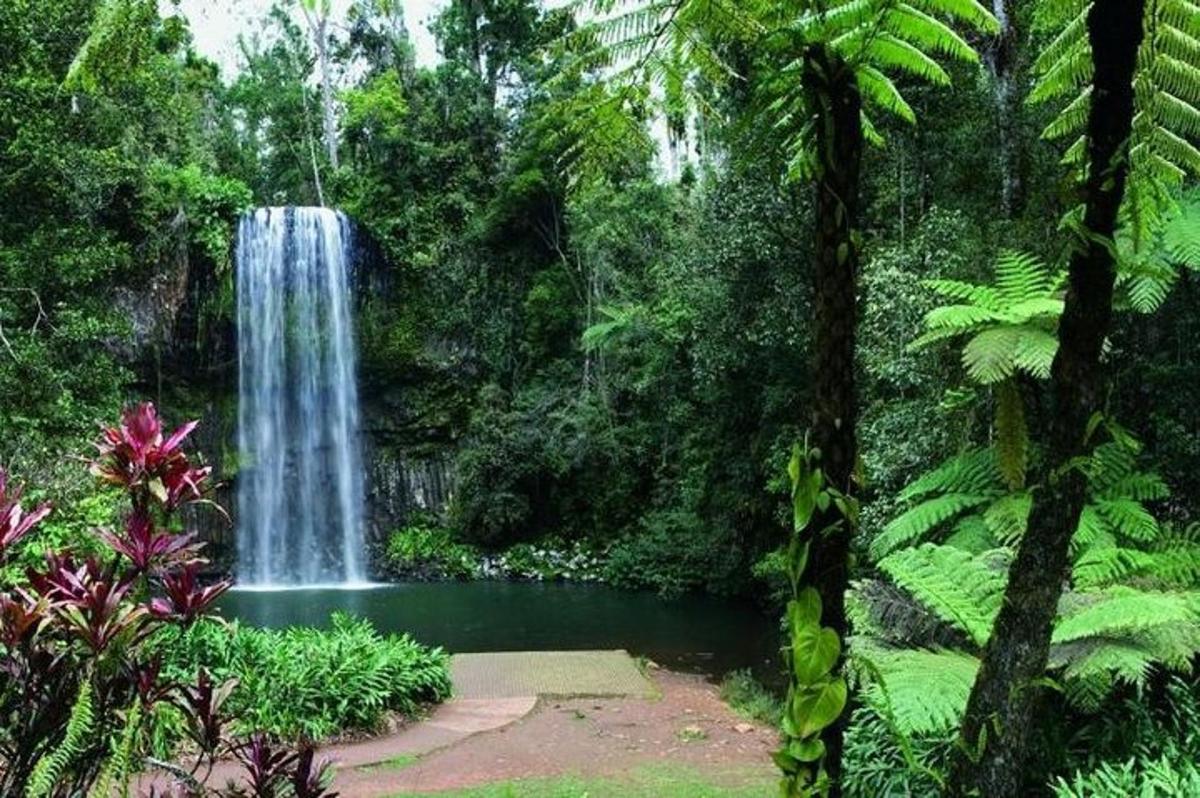 a waterfall in the middle of a lush green forest