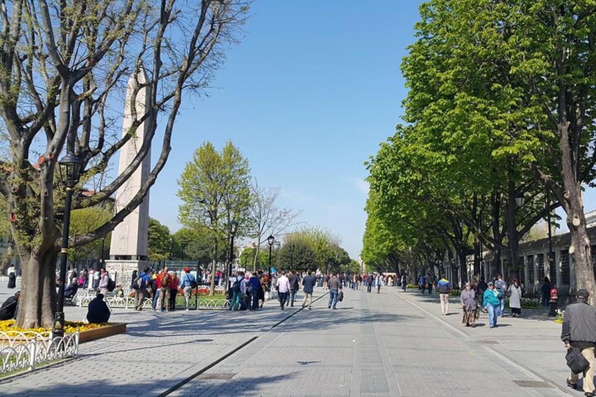 a large group of people walking down a street