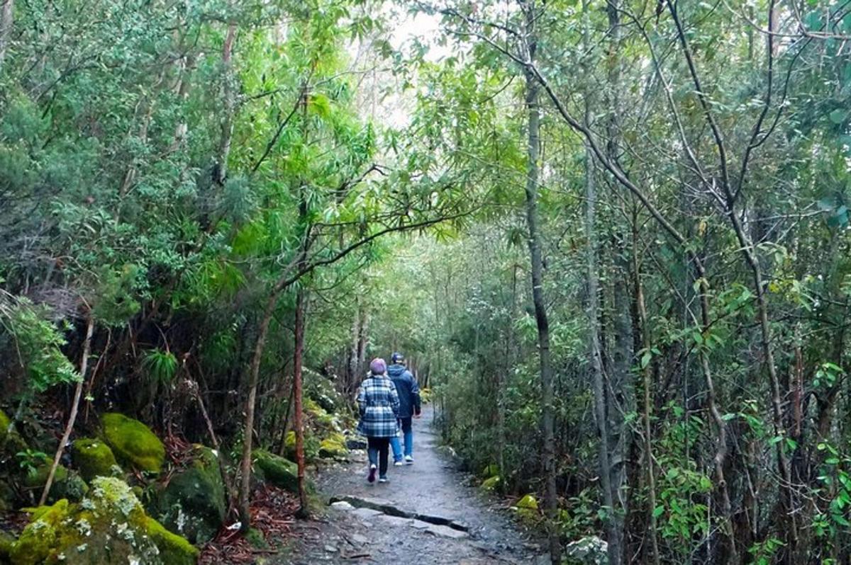 sekumpulan orang berjalan menyusuri denai di dalam hutan