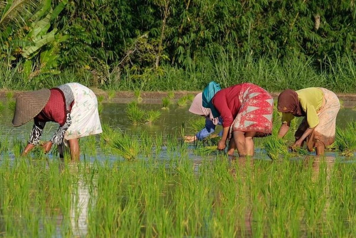 ภาพถ่ายสิ่งที่น่าสนใจภาพที่ 2