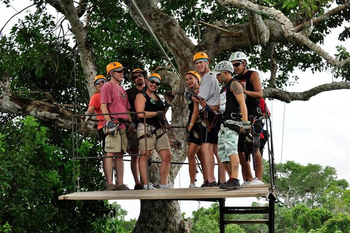 skupina lidí stojící na zip line na stromě