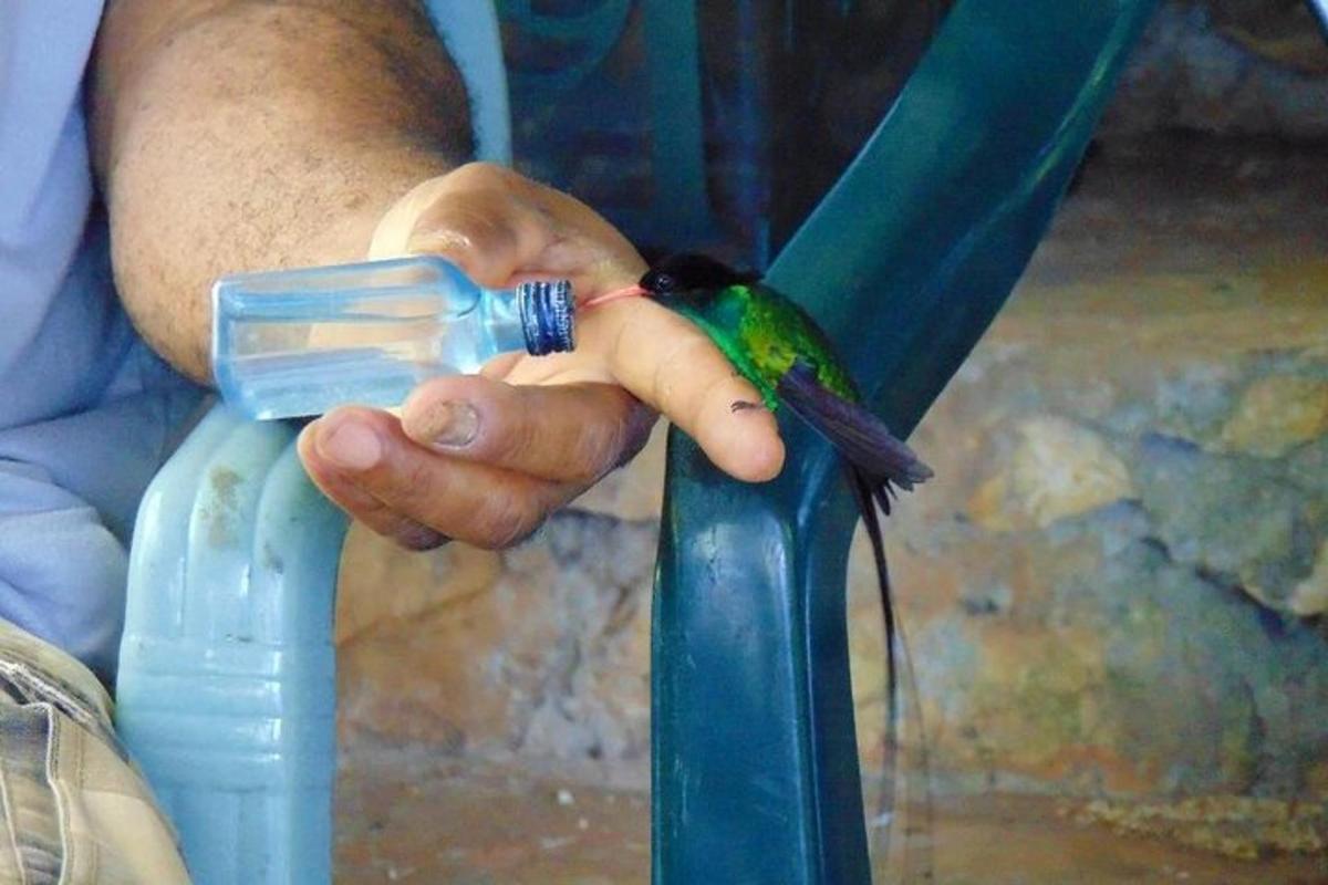 uma pessoa segurando um pássaro com uma garrafa de água
