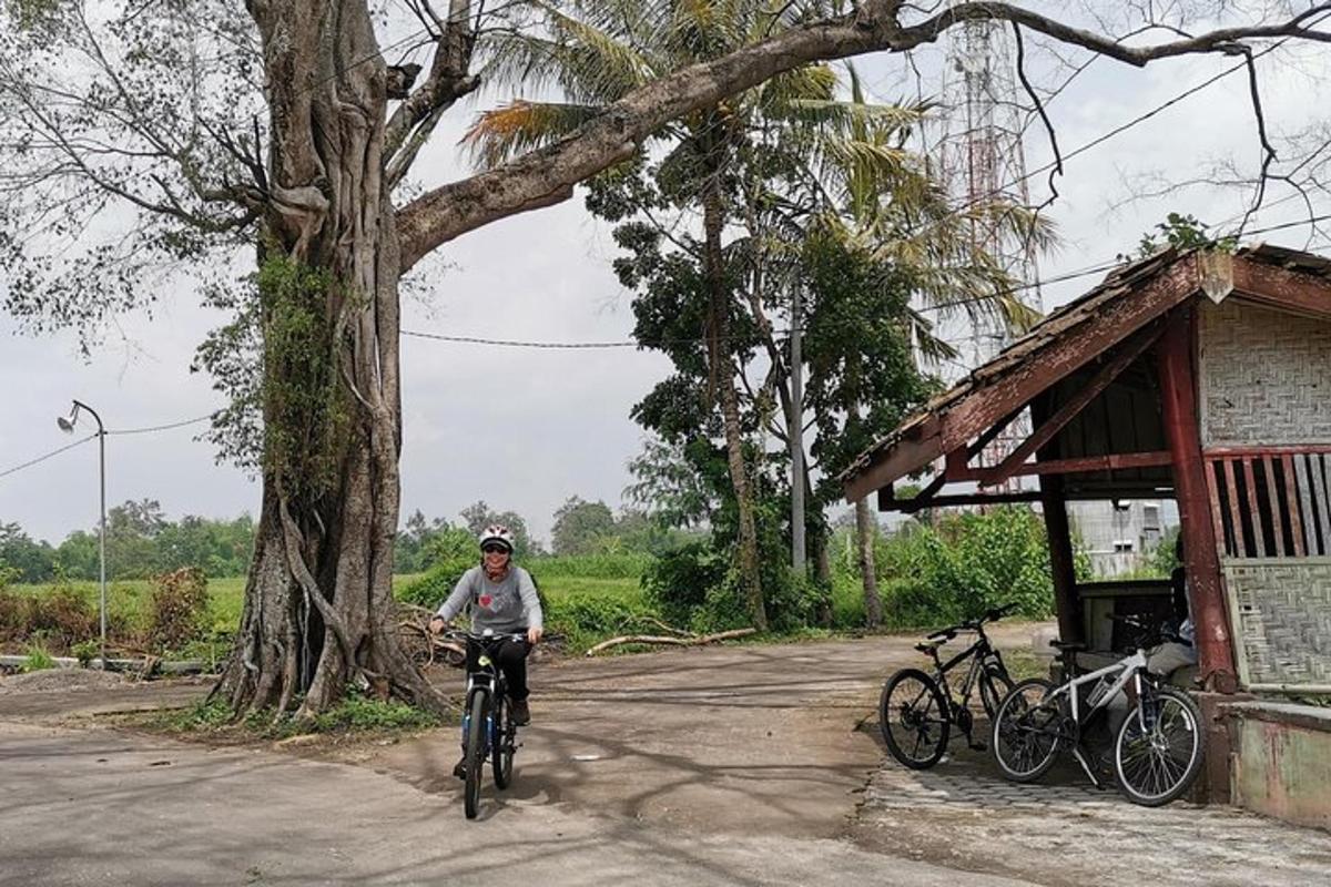 muž jazdiaci na bicykli vedľa stromu