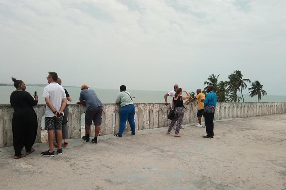 Un grupo de personas paradas en una valla mirando el océano.