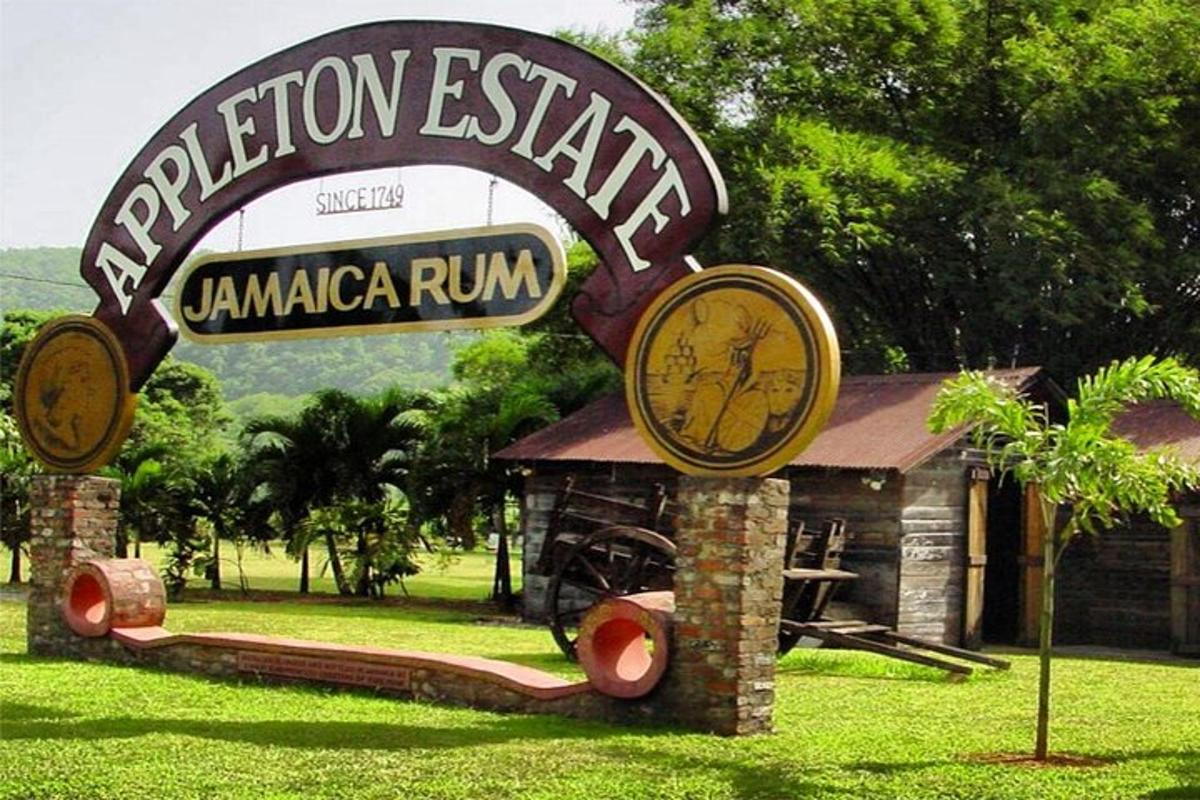 Un cartel para una carrera de amaminaria en la isla Rutherford