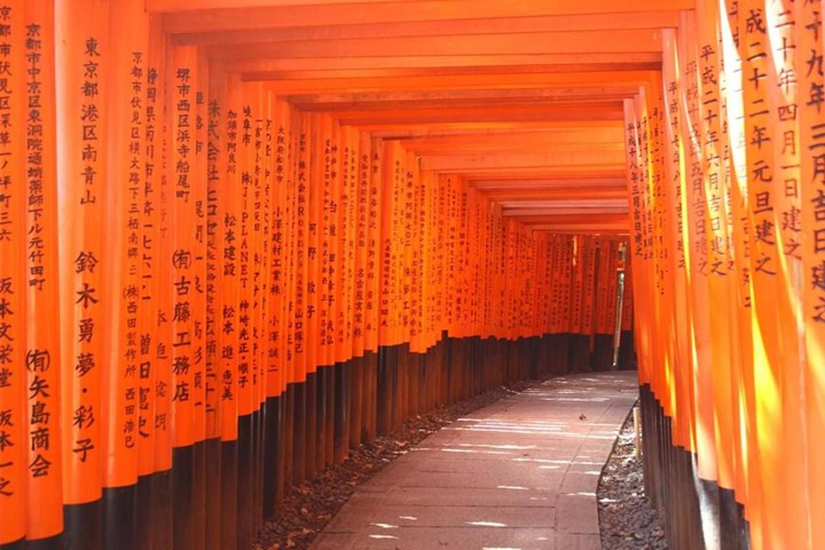 Götu með appelsínugulum Torii hliðum í japönskum helgidómi
