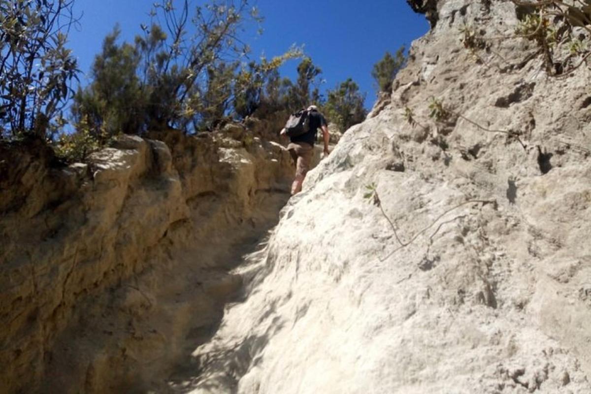una persona che cammina su un sentiero roccioso su una montagna