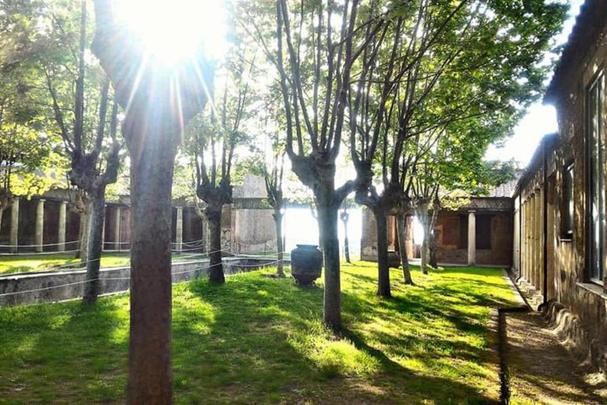 a group of trees in a yard next to a building