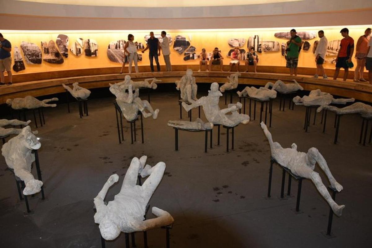 un gruppo di animali bianchi seduti su sedie in un museo