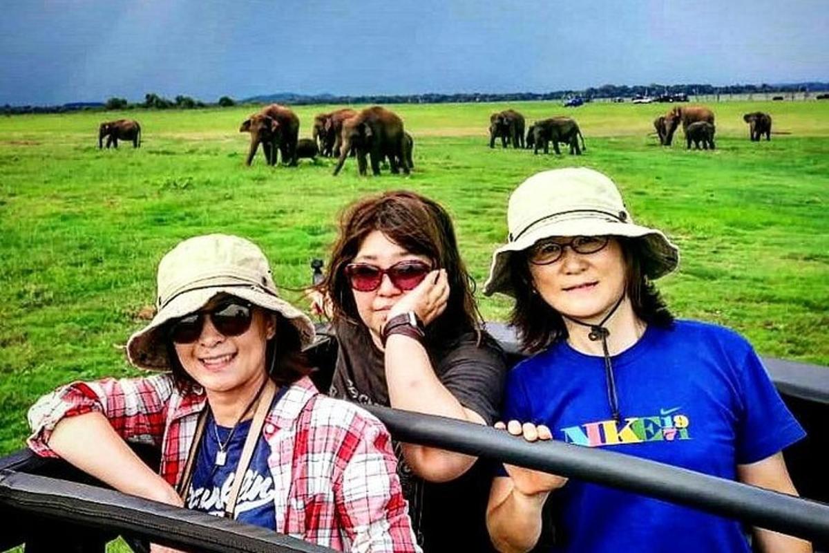 três mulheres de chapéu estão em um campo com elefantes