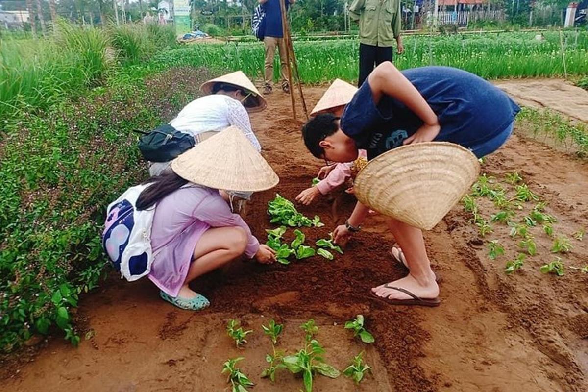 사람들이 밭에 식물을 심는 모습