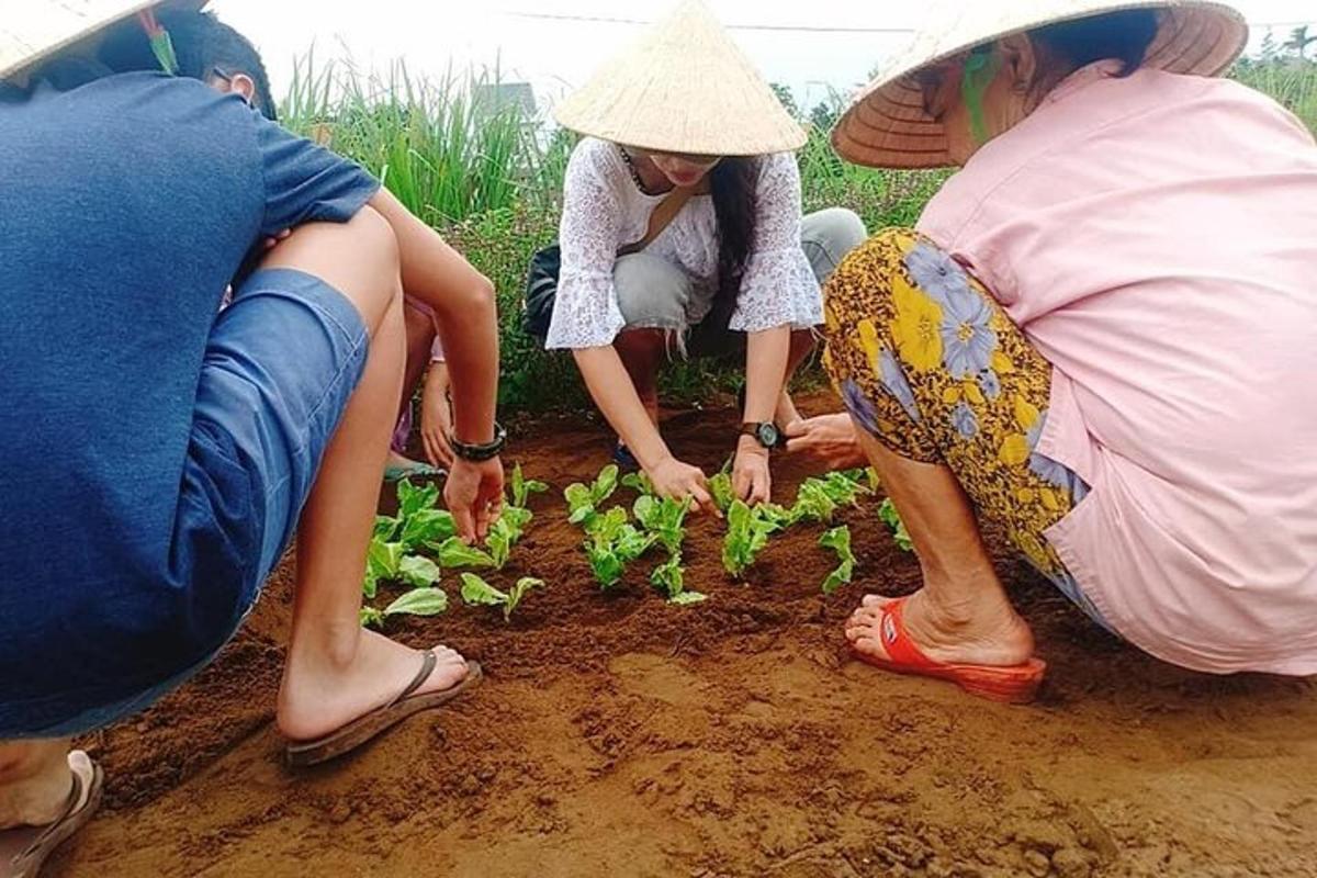 사람들이 흙에 식물을 심고 있다