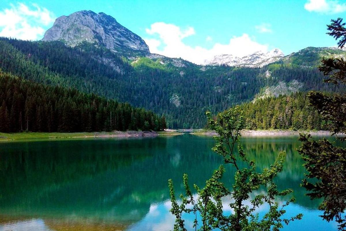 Una vista de un lago con una montaña al fondo.