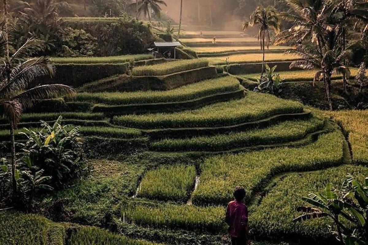 một người đàn ông đứng trước một cánh đồng bụi rậm