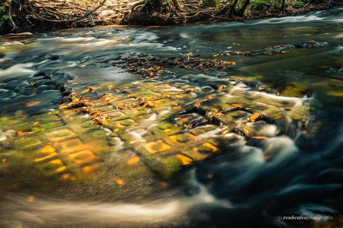 an aerial view of a river with rapids