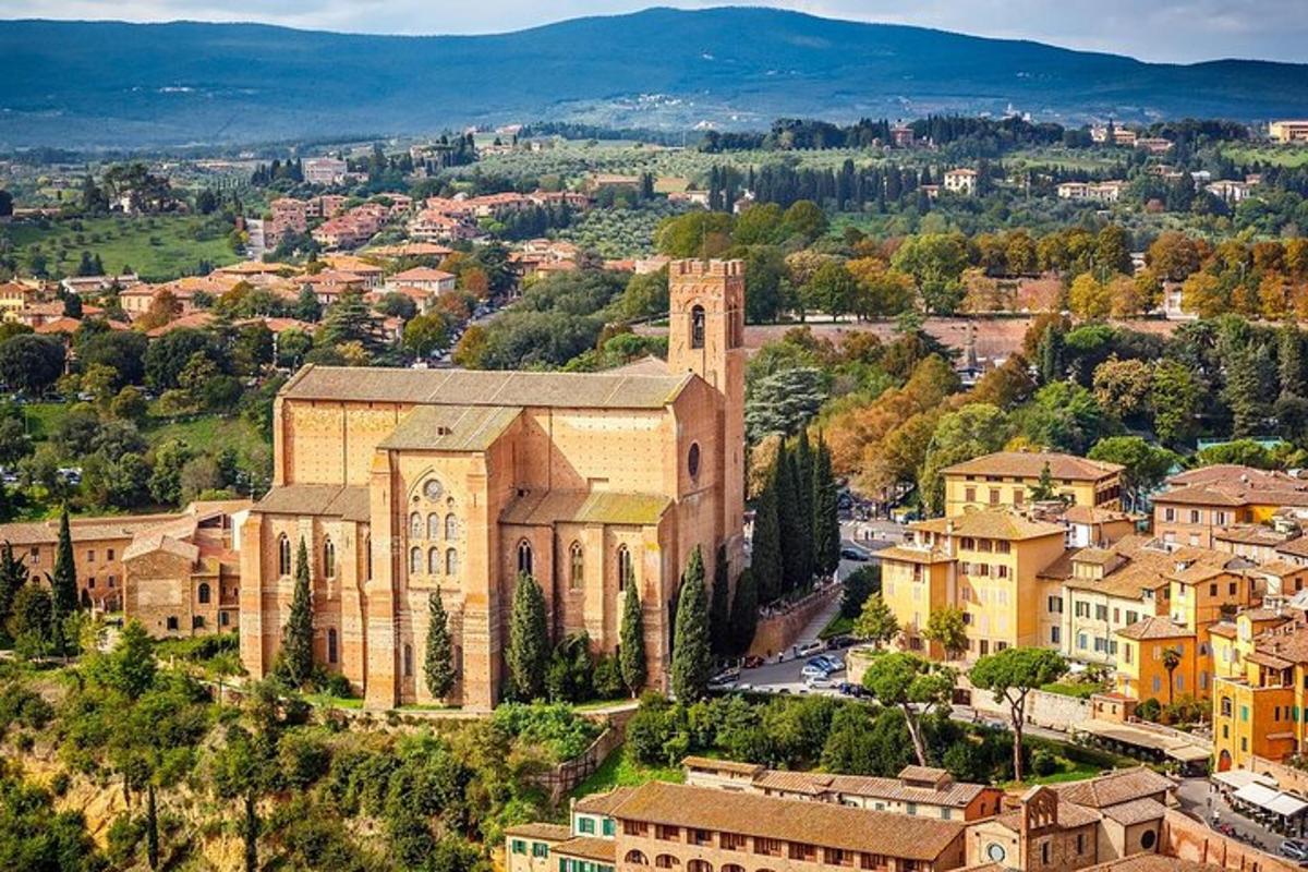an aerial view of a church in a town