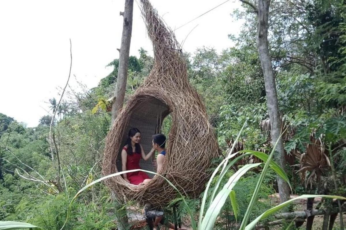 due persone sedute in un nido su un albero