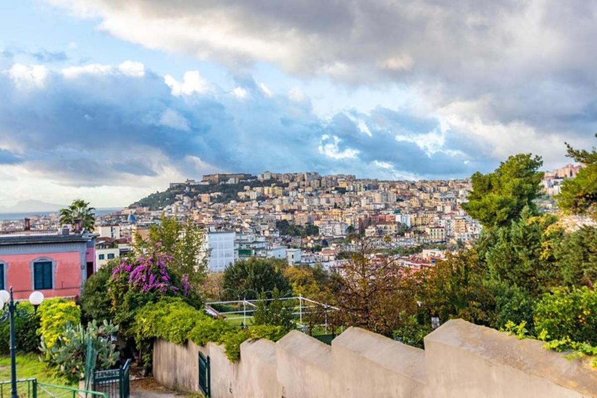 Una vista de una ciudad con edificios en una colina.
