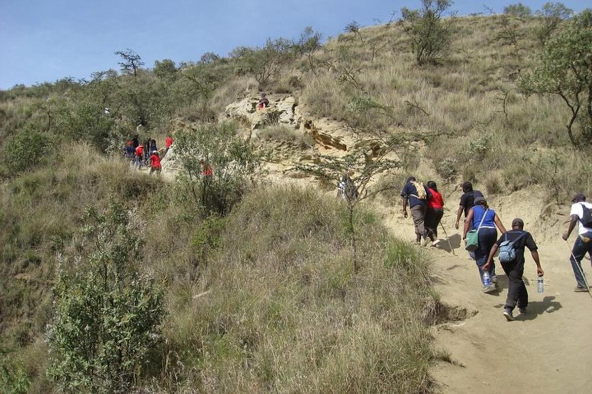 un grupo de personas caminando por un sendero de tierra