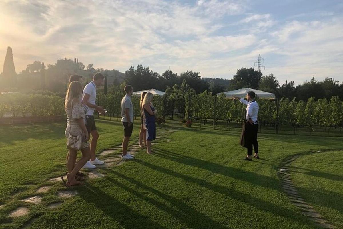 un gruppo di persone in piedi in un campo con gli ombrelli