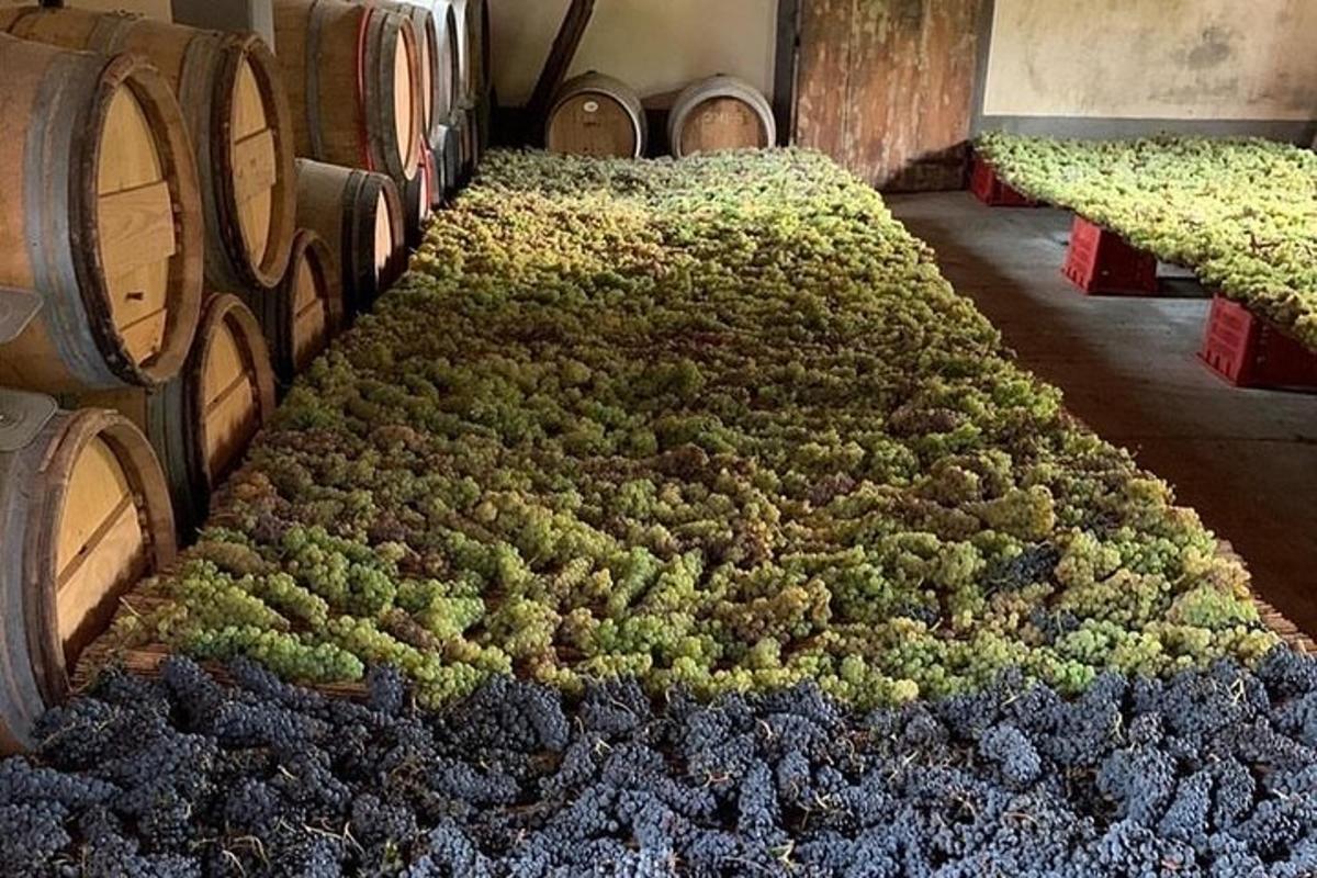 o grămadă de butoaie de vin într-o pivniță de vinuri