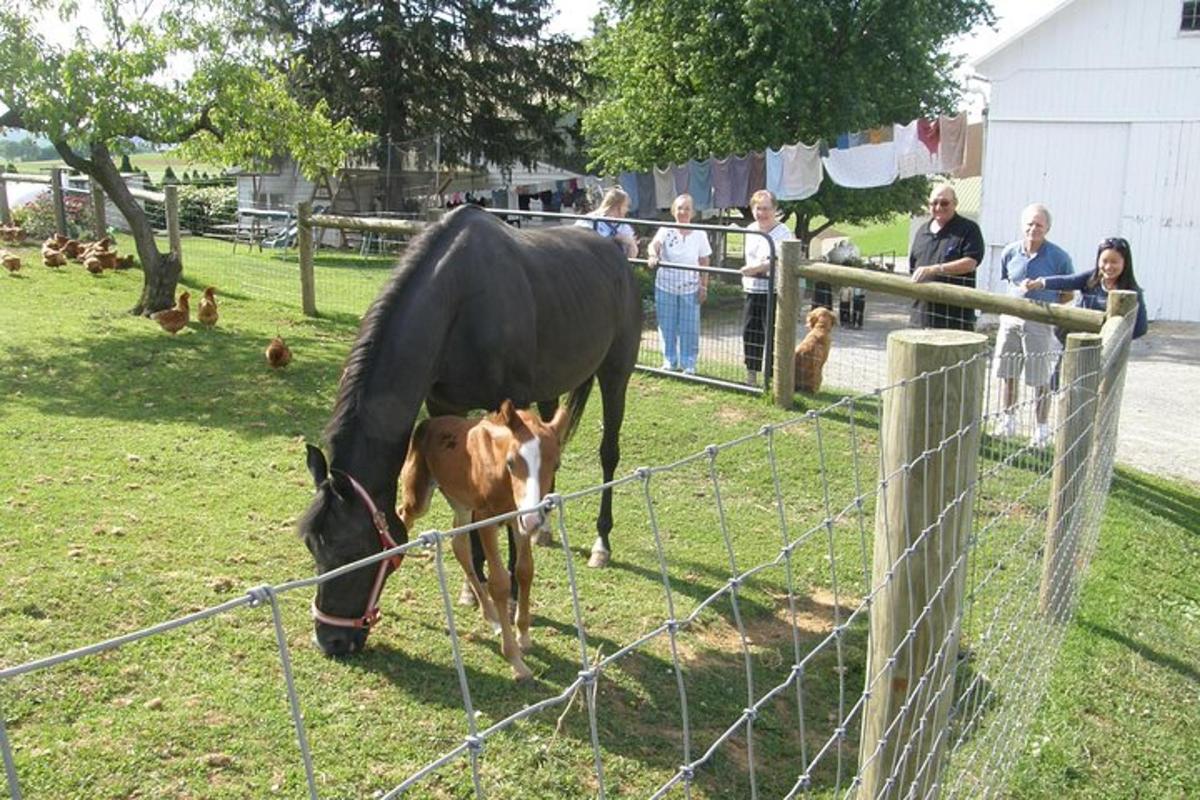 a horse and a baby horse standing next to a fence