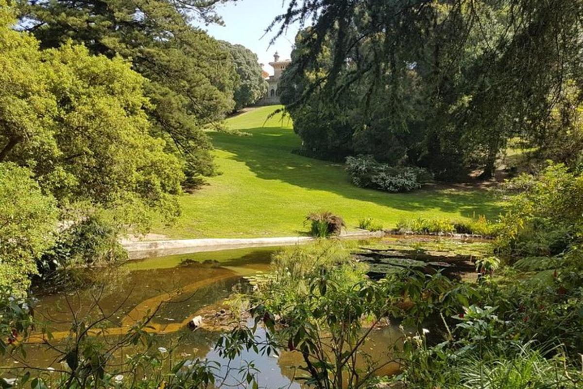 池と木々のある公園の景色