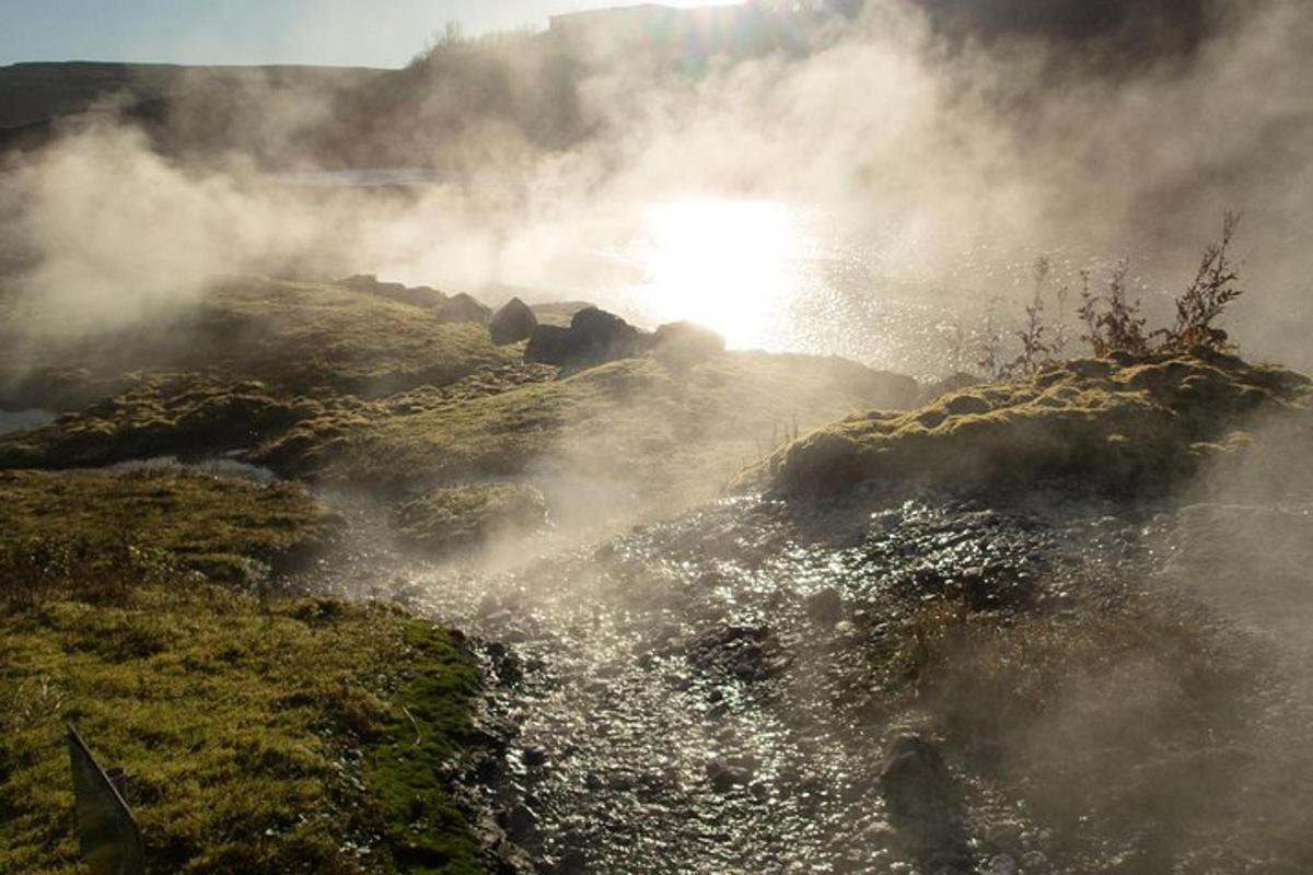 Ljósmynd af afþreyingu 4