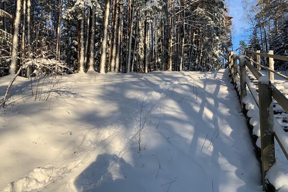 Un camino cubierto de nieve con una valla y árboles.