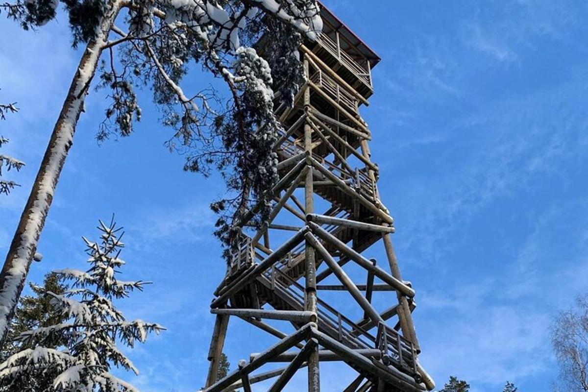 Una casa en el árbol de madera con nieve encima