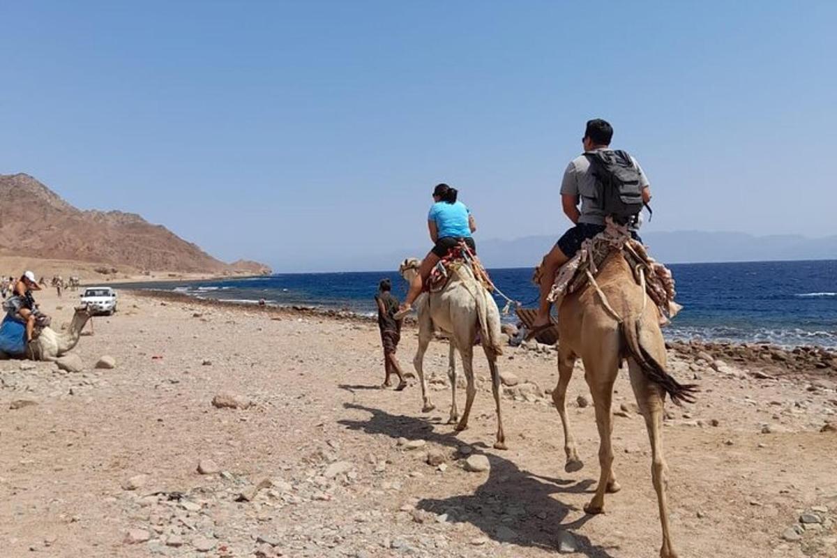 Dos personas montando camellos en una playa