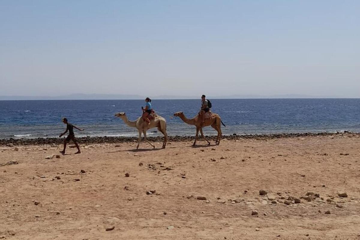 Un grupo de personas montando camellos en la playa.