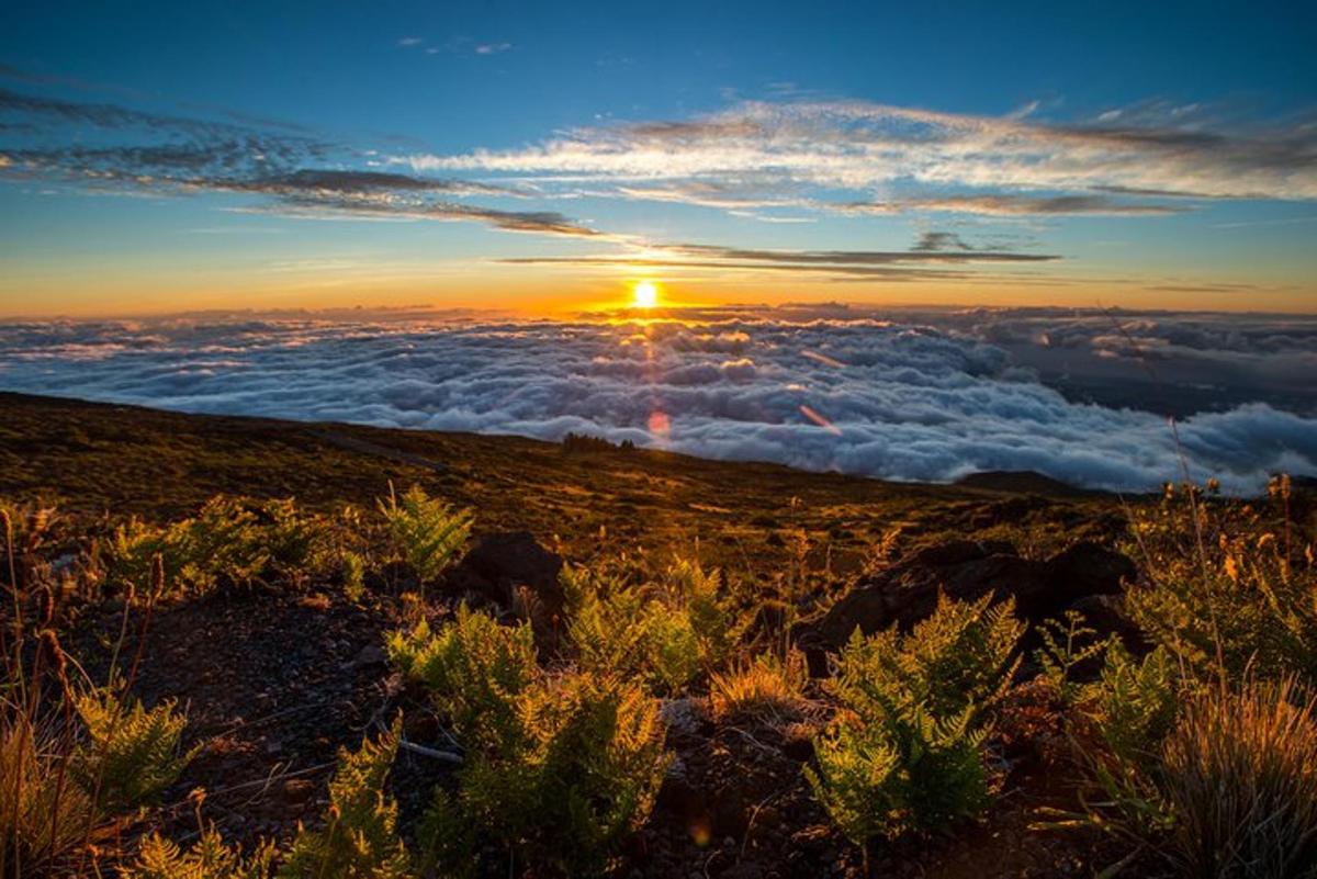 a view of the sun rising over a field of clouds