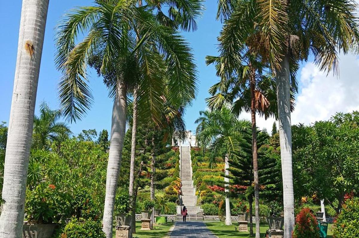 un gruppo di palme in un parco con una scalinata