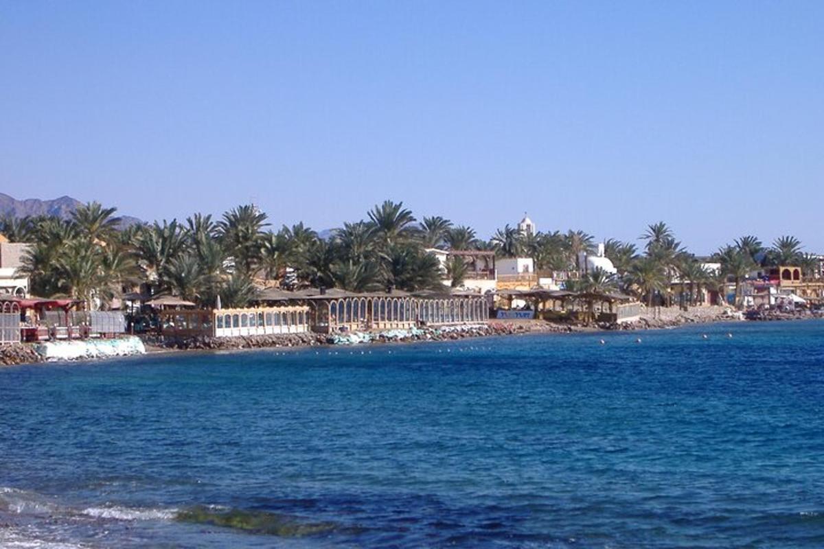 une plage avec des palmiers et des maisons sur le rivage