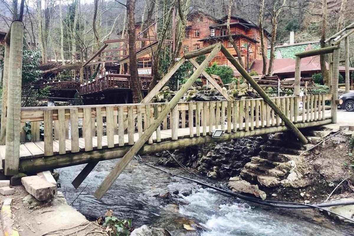un ponte di legno sopra un fiume con una casa sullo sfondo