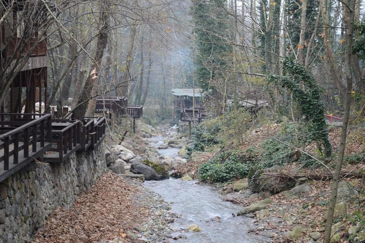 un fiume in mezzo a una foresta