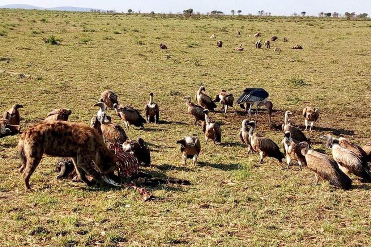 una mandria di animali in piedi in un campo