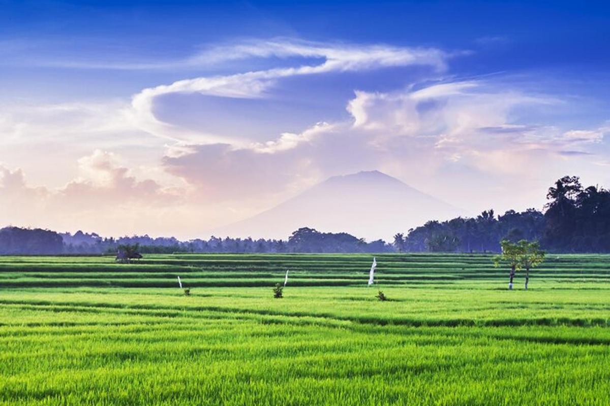 un campo di erba verde con una montagna sullo sfondo