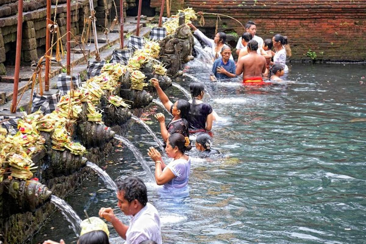 a group of people swimming in the water