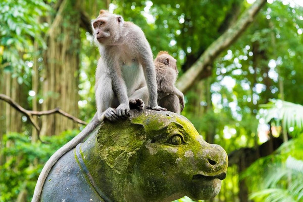 two monkeys sitting on top of a head