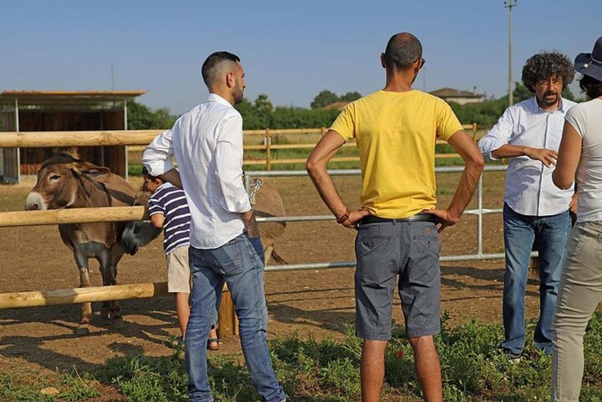 Grupa mężczyzn stojących wokół płotu i patrzących na konia