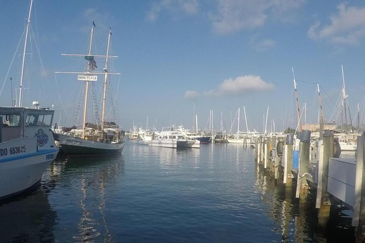 a group of boats docked in a harbor