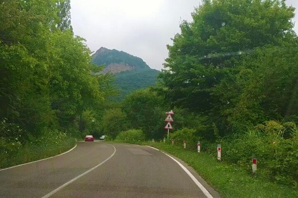 автомобіль, що їде дорогою з деревами та горою