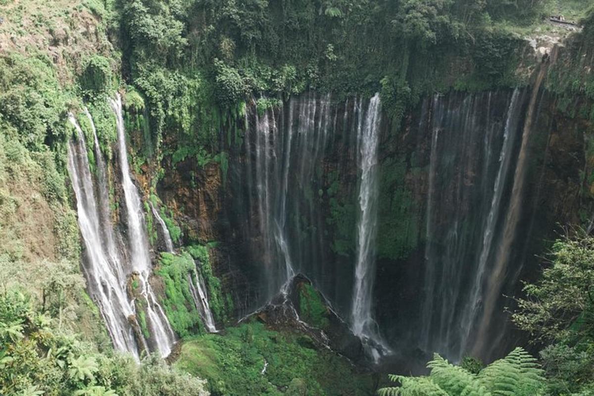 Fotografia da atração 4